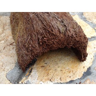 Xaximhöhle (L) ca.20cm lang - ideal zur Dekoration oder...