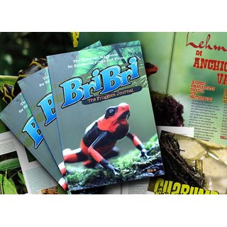 BriBri - The Froggers Journal No. 2 ( Deutsch & Englisch )